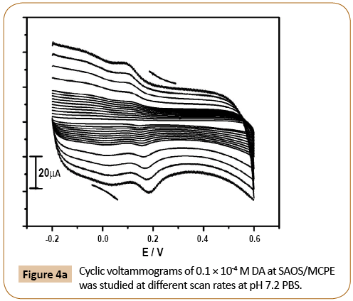 electroanalytical-voltammograms-scan