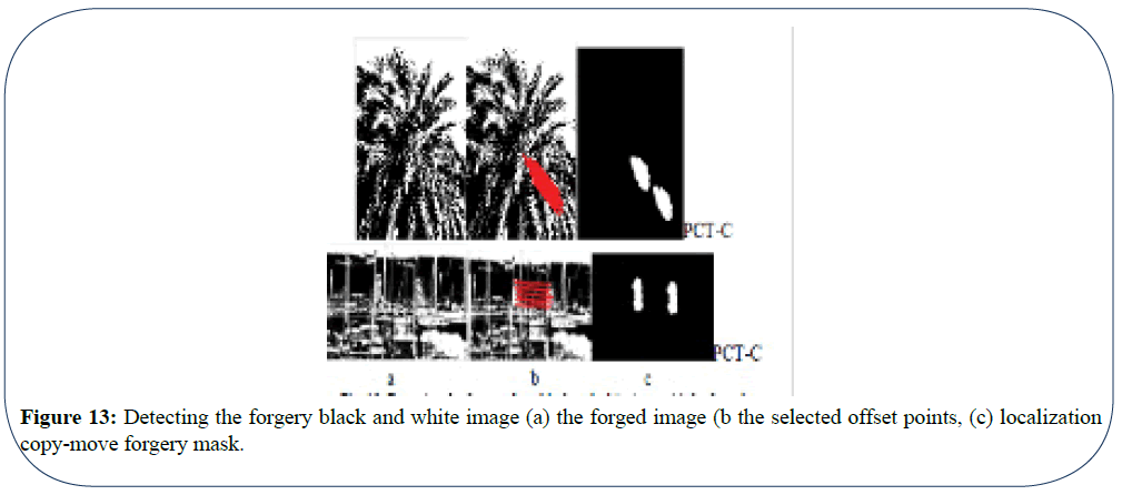 engineering-survey-forgery-black