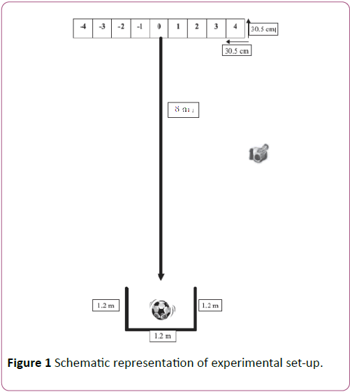 european-journal-experimental-biology-Schematic-representation