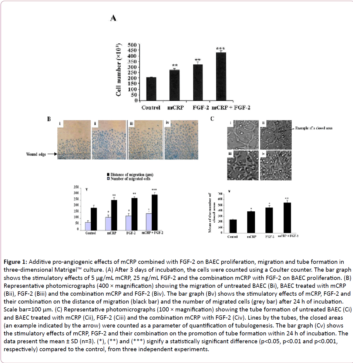 european-journal-experimental-biology-pro-angiogenic