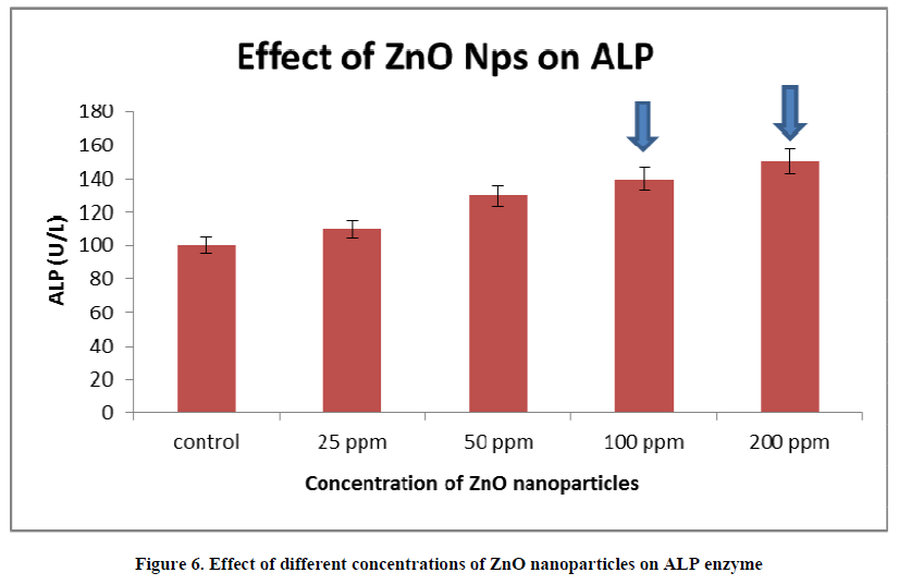 european-journal-of-experimental-ALP-enzyme