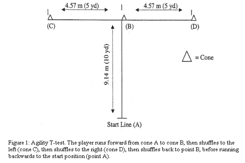 european-journal-of-experimental-Agility-T-test