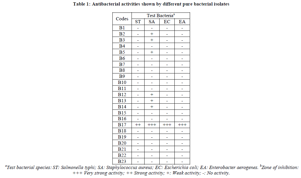 european-journal-of-experimental-Antibacterial