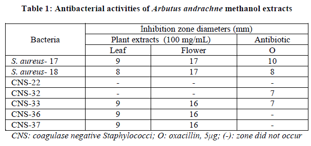 european-journal-of-experimental-Antibacterial-activities