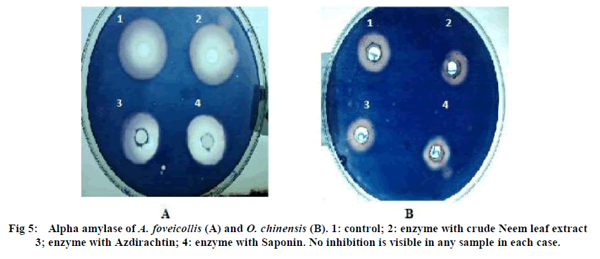 european-journal-of-experimental-Azdirachtin