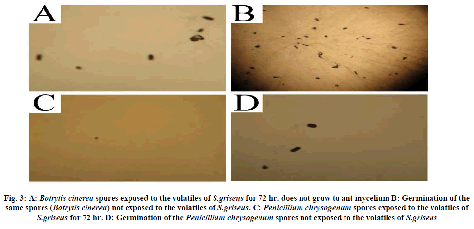 european-journal-of-experimental-Botrytis-cinerea