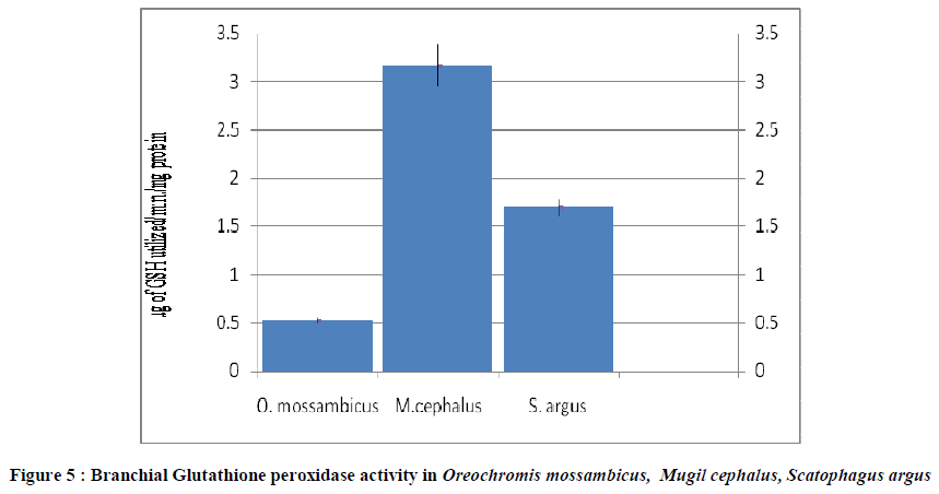 european-journal-of-experimental-Branchial-Glutathione