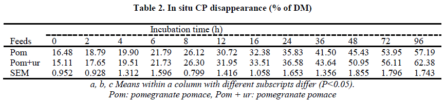 european-journal-of-experimental-CP-disappearance