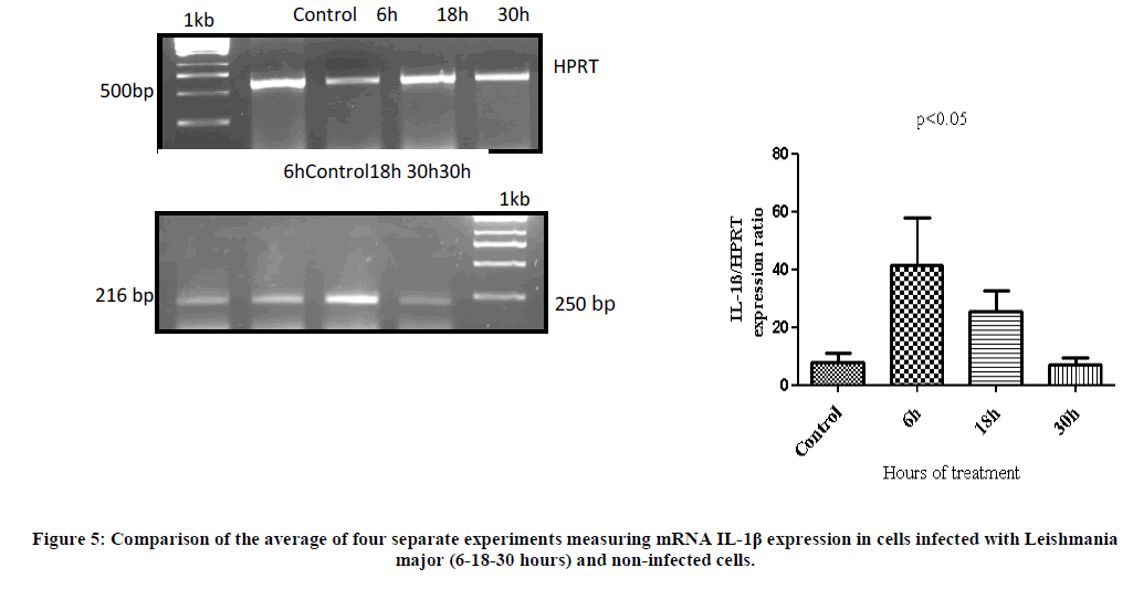 european-journal-of-experimental-Comparison