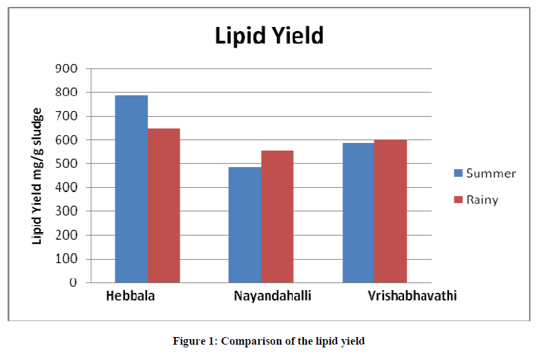 european-journal-of-experimental-Comparison