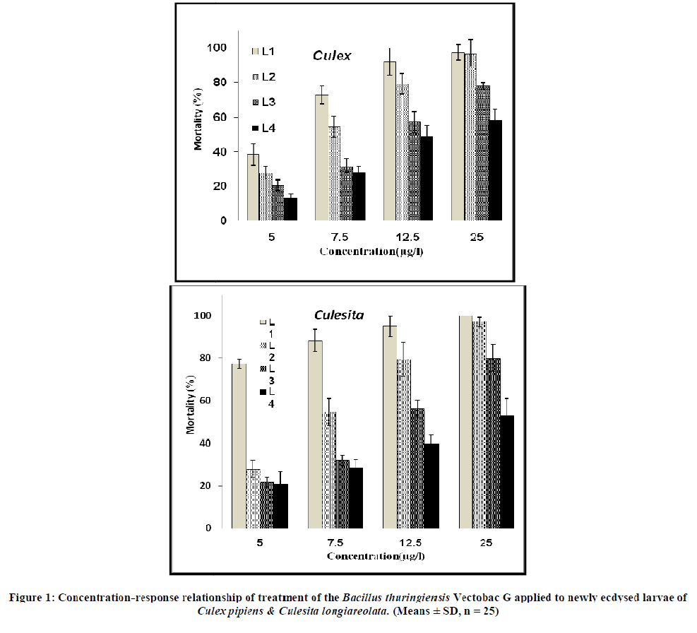 european-journal-of-experimental-Concentration