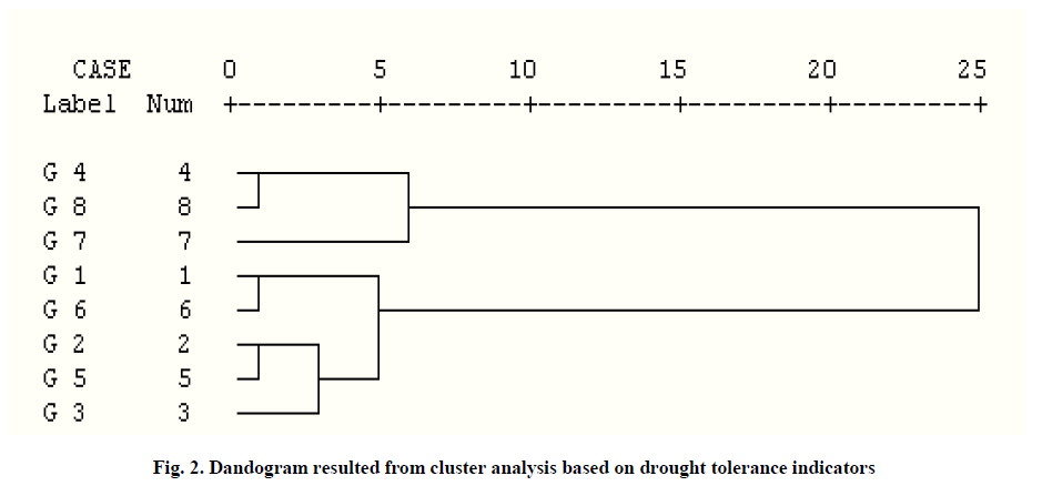 european-journal-of-experimental-Dandogram-resulted