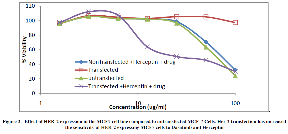 european-journal-of-experimental-Dasatinib-Herceptin