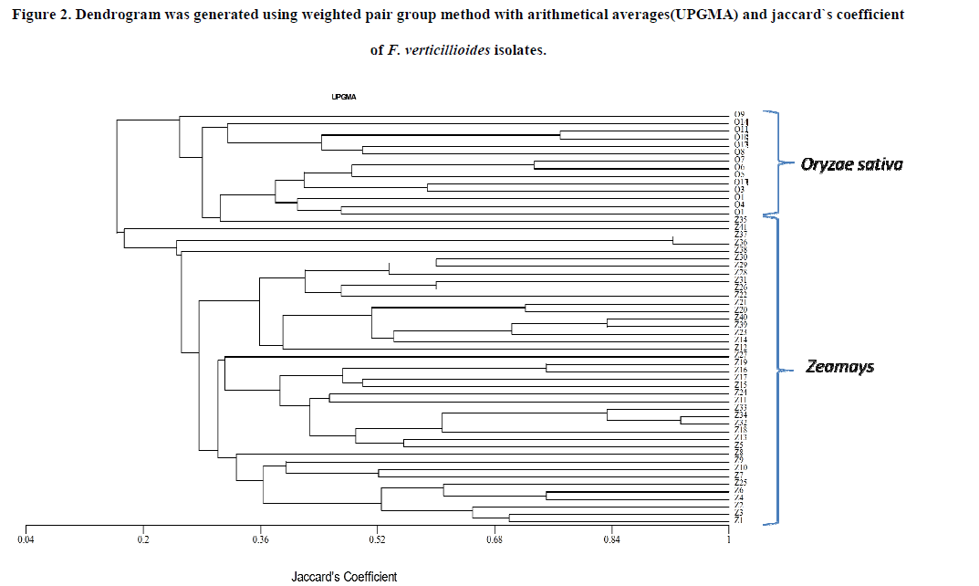 european-journal-of-experimental-Dendrogram