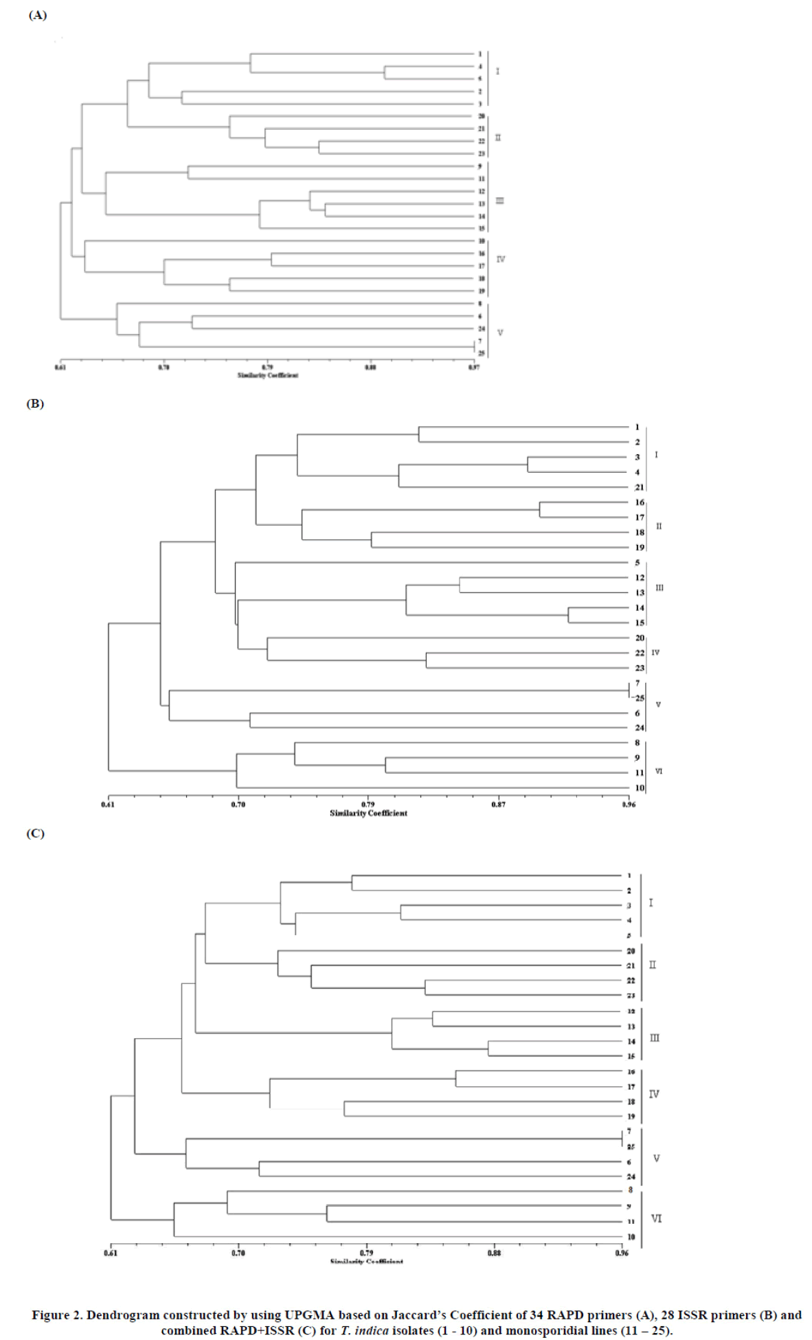 european-journal-of-experimental-Dendrogram-constructed