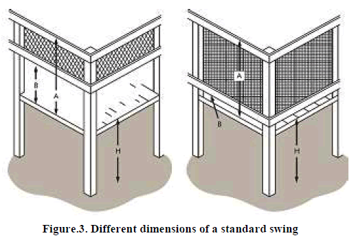 european-journal-of-experimental-Different-dimensions