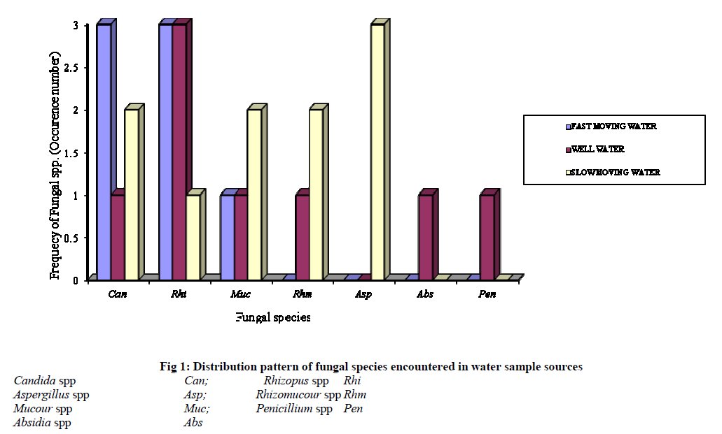 european-journal-of-experimental-Distribution-pattern