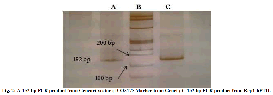 european-journal-of-experimental-Geneart-vector