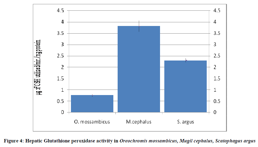 european-journal-of-experimental-Hepatic-Glutathione