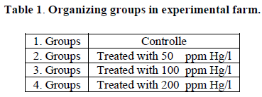 european-journal-of-experimental-Organizing-groups