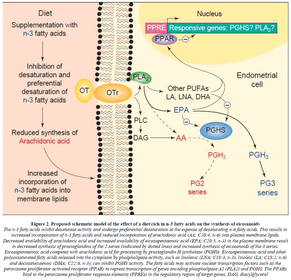european-journal-of-experimental-Proposed-schematic