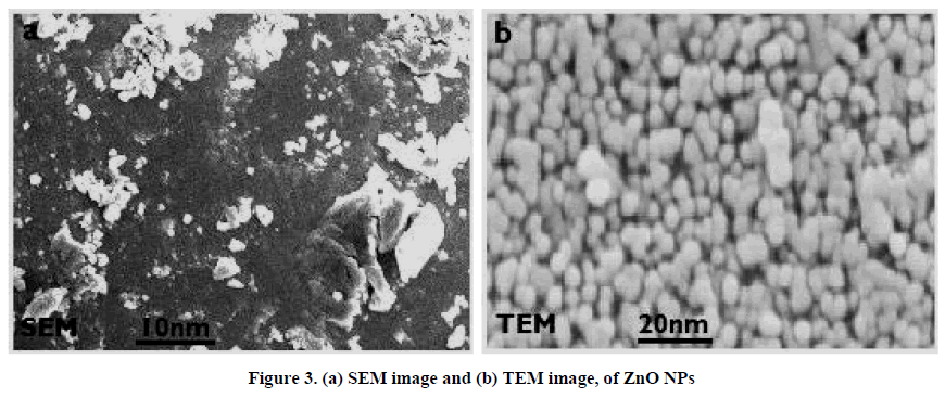 european-journal-of-experimental-SEM-image