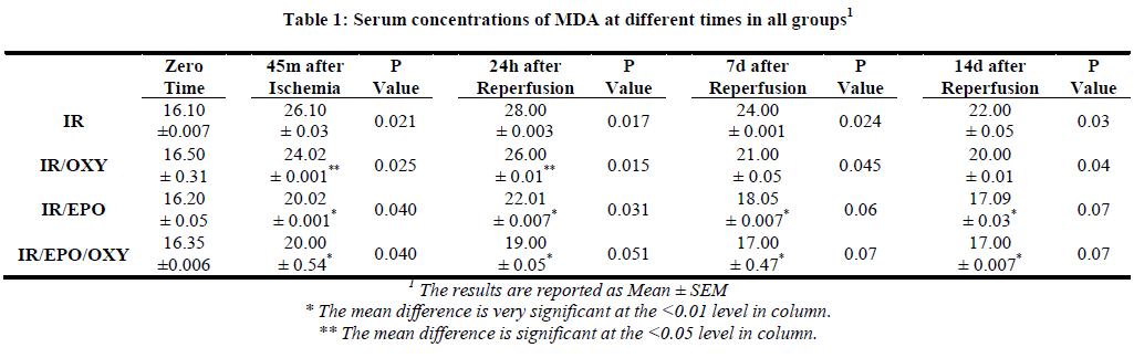 european-journal-of-experimental-Serum-concentrations