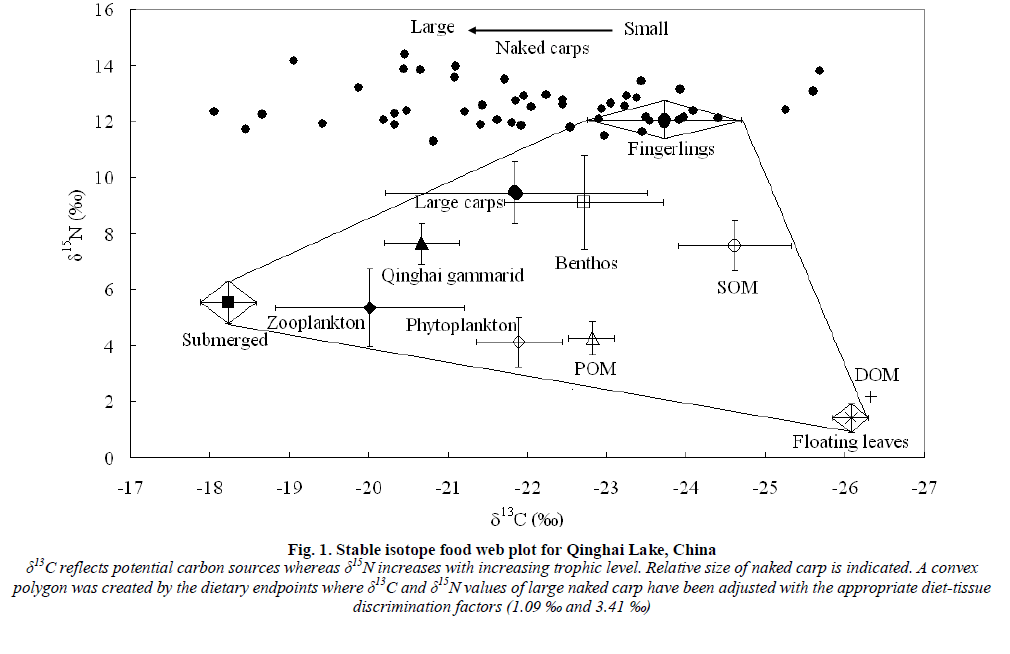 european-journal-of-experimental-Stable-isotope