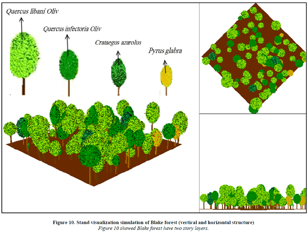 european-journal-of-experimental-Stand-visualization