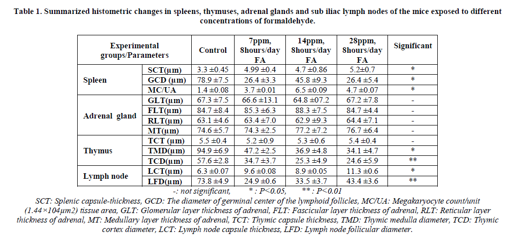 european-journal-of-experimental-Summarized-histometric