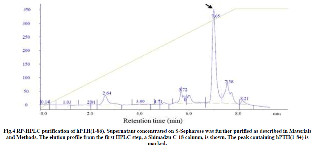 european-journal-of-experimental-Supernatant-concentrated