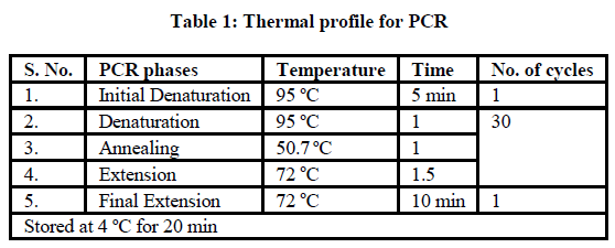 european-journal-of-experimental-Thermal-profile