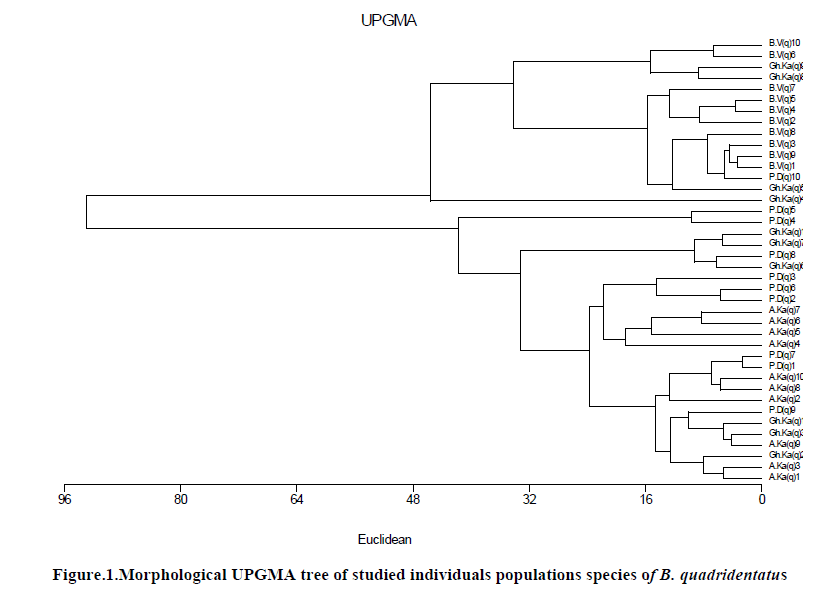 european-journal-of-experimental-UPGMA-tree