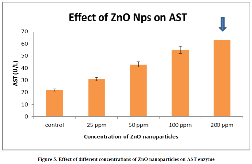 european-journal-of-experimental-ZnO-nanoparticles