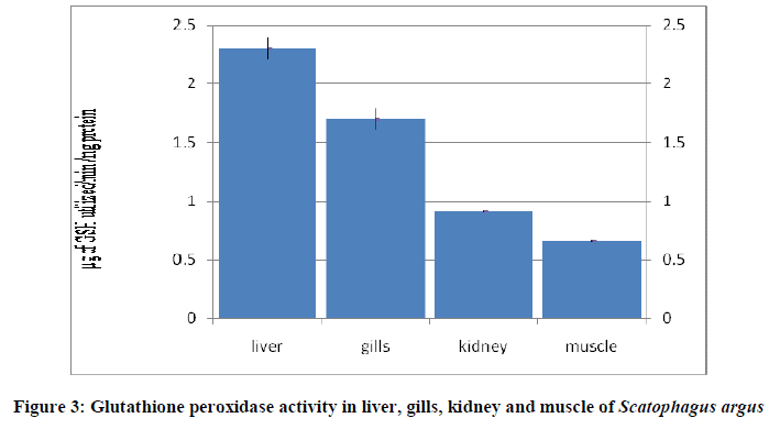 european-journal-of-experimental-activity-liver