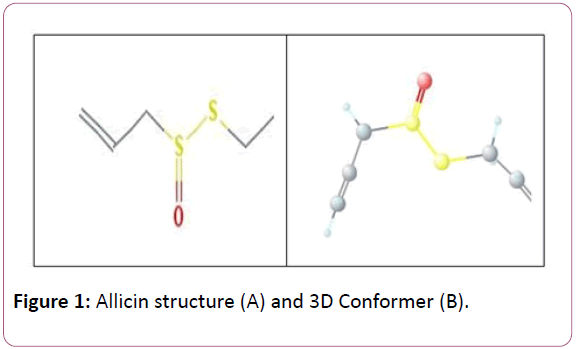 european-journal-of-experimental-biology-Allicin-structure