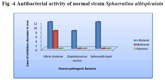 european-journal-of-experimental-biology-Antibacterial