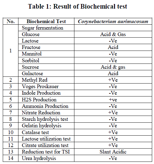 european-journal-of-experimental-biology-Biochemical-test