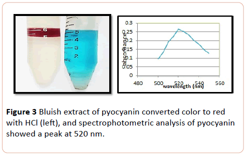 european-journal-of-experimental-biology-Bluish-extract