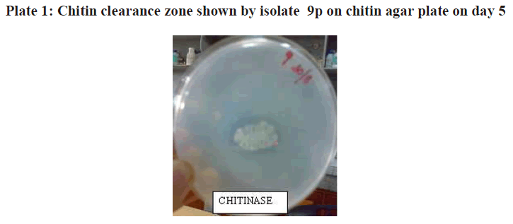 european-journal-of-experimental-biology-Chitin-clearance