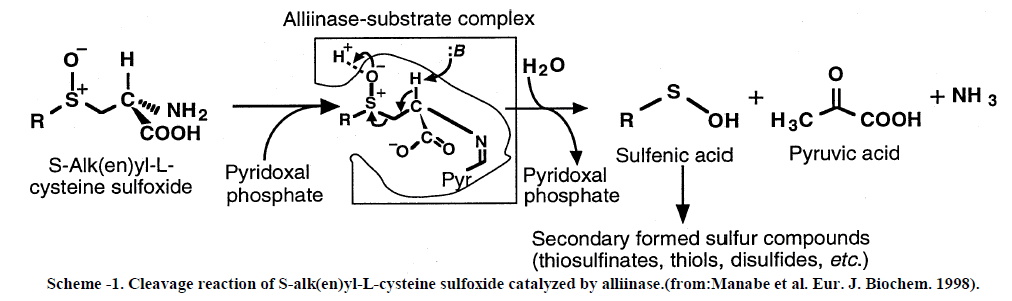 european-journal-of-experimental-biology-Cleavage-reaction