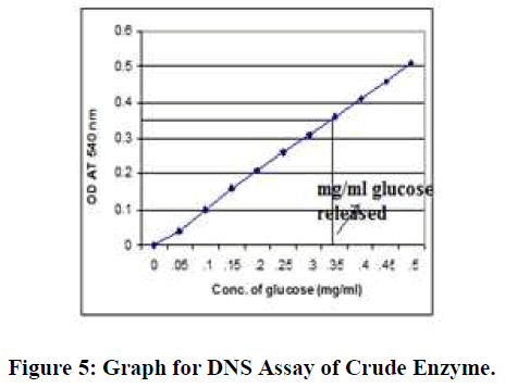 european-journal-of-experimental-biology-Crude-Enzyme