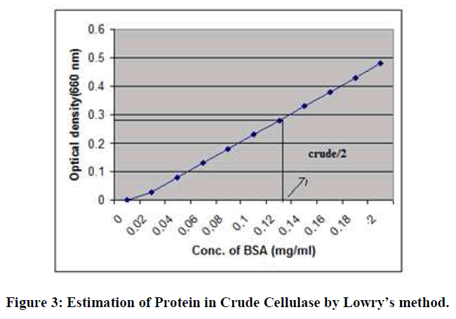 european-journal-of-experimental-biology-Crude-Extract