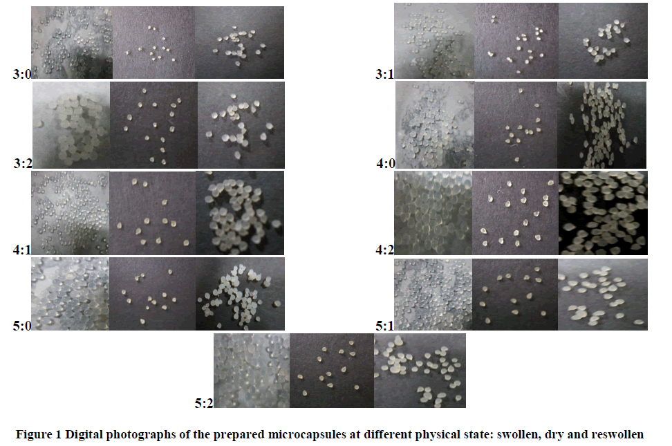 european-journal-of-experimental-biology-Digital-photographs