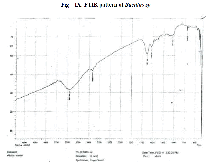 european-journal-of-experimental-biology-FTIR-pattern