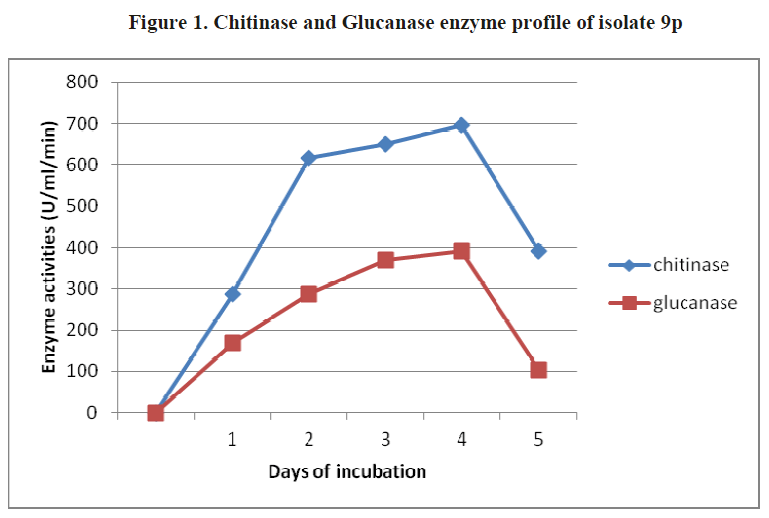 european-journal-of-experimental-biology-Glucanase-enzyme