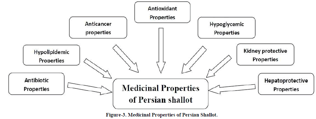 european-journal-of-experimental-biology-Medicinal-Properties