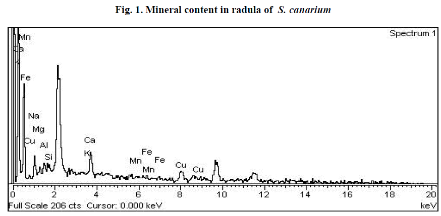 european-journal-of-experimental-biology-Mineral-content