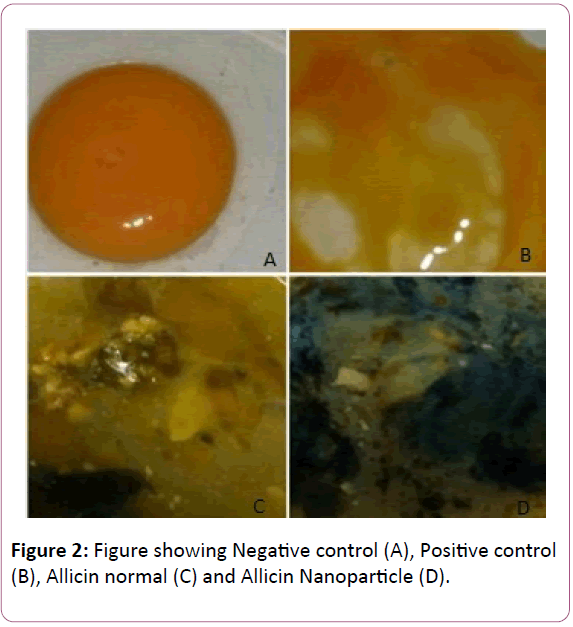 european-journal-of-experimental-biology-Negative-control