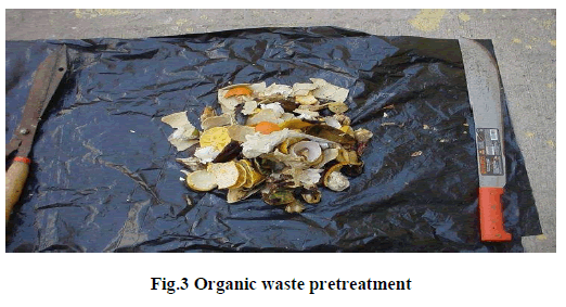 european-journal-of-experimental-biology-Organic-waste
